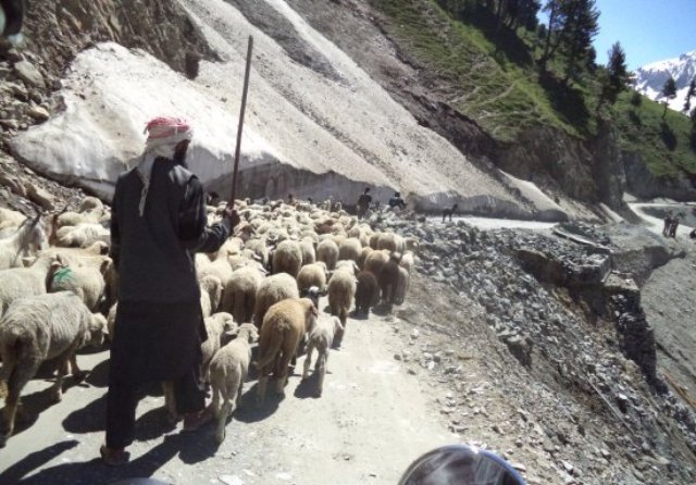 Snow Slide Over Zoji La Pass Leads To Isolation Of Ladakh From Kashmir Via Road