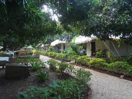 51 Best Camping Sites in India You Shouldn’t Miss