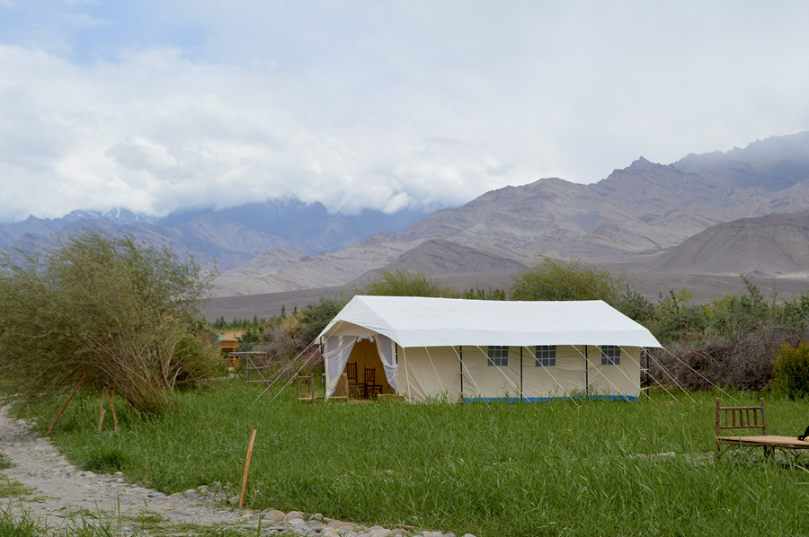 Luna Ladakh Eco Camp