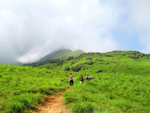 Nishani Motte Trek in Coorg