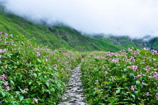 Treks Near Valley Of Flowers