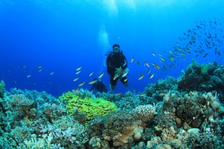 Scuba Diving in India