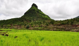 Tikona Fort Trek