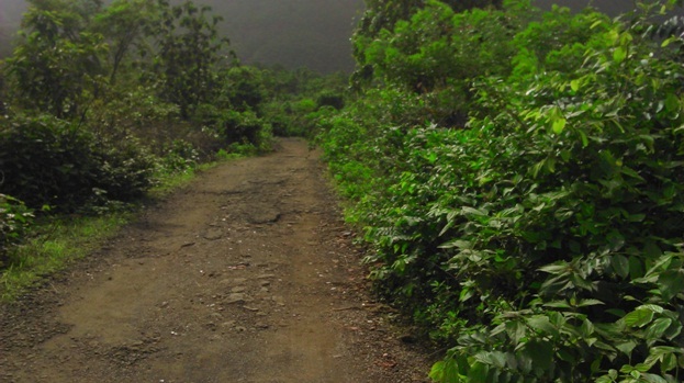 trekking Path