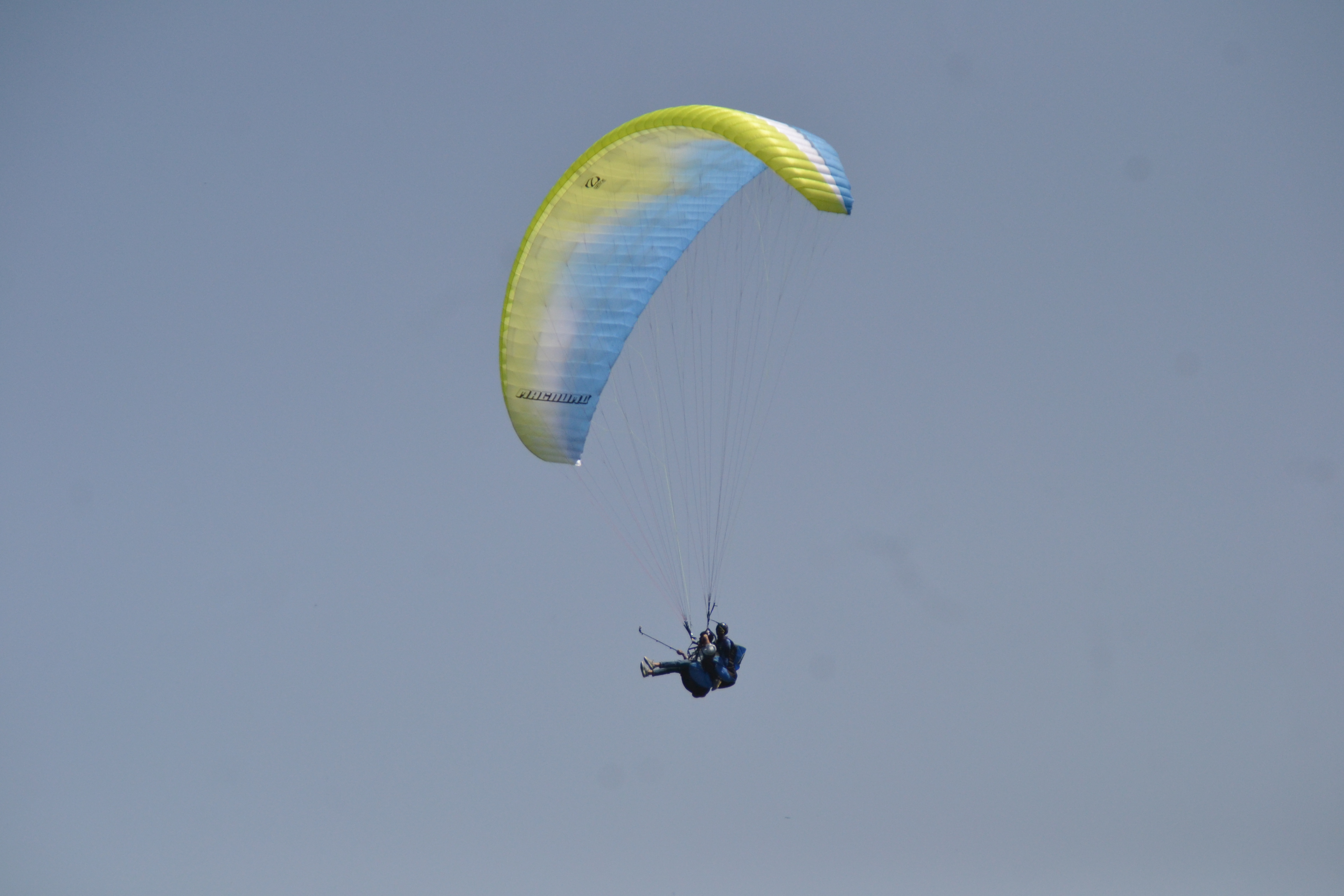 paragliding in billing