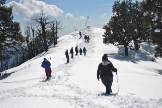 Nag Tibba Trek