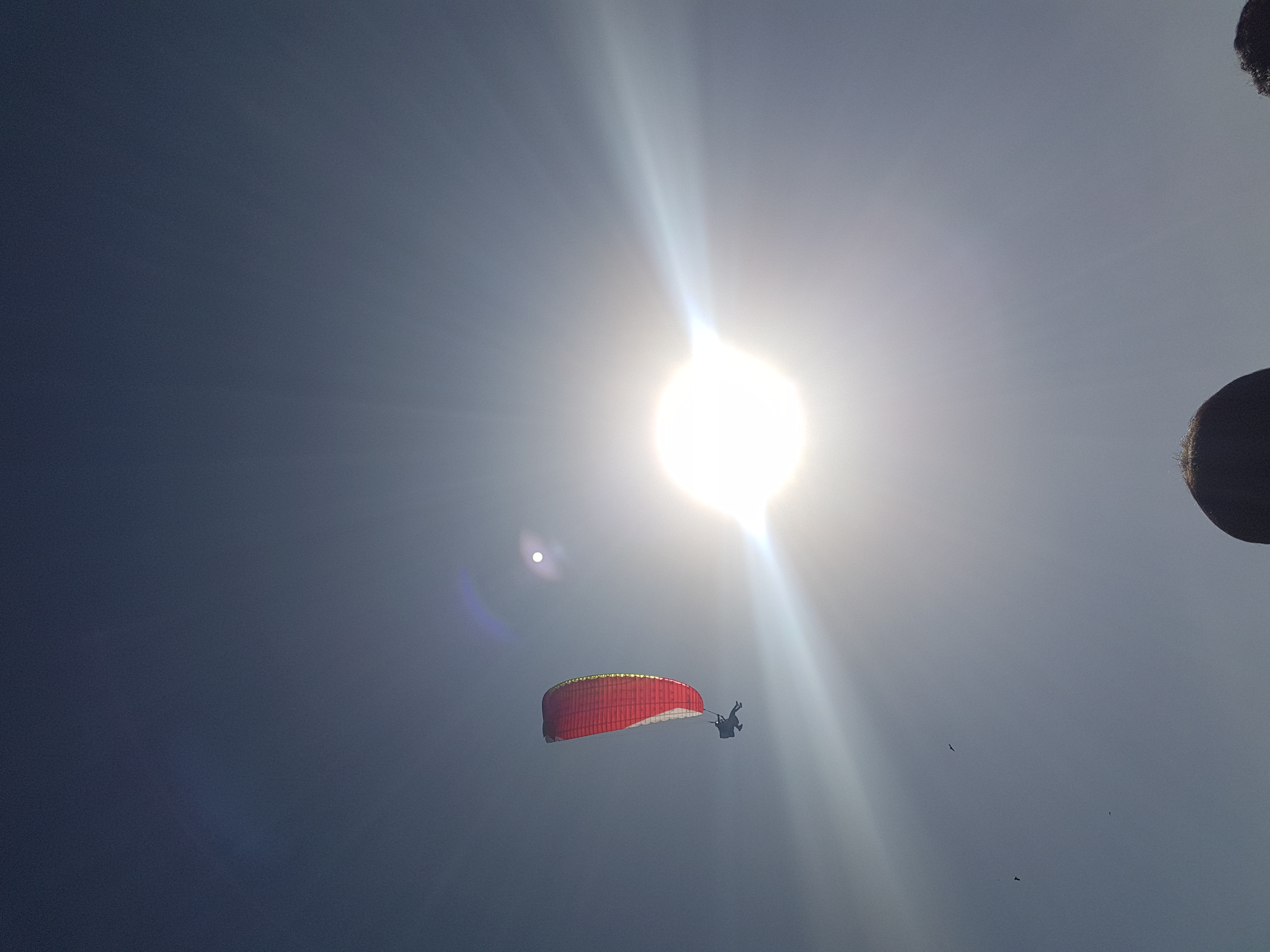 Paragliding in Bir