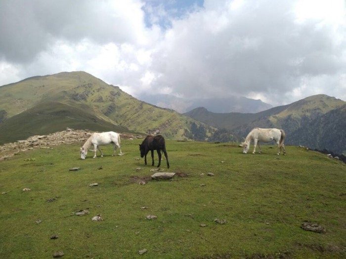 RoopKund Trek