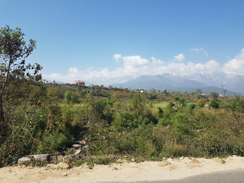 Paragliding in Bir Billing Camp