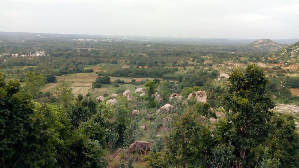 Ravugodlu Night Trek