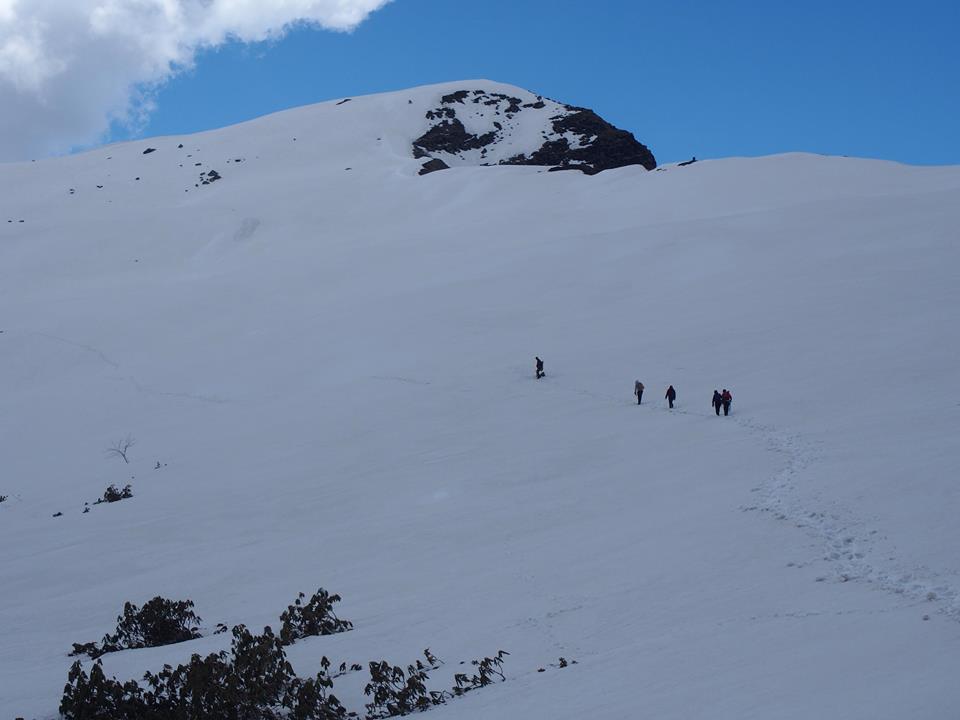 chopta tungnath chandrashila trek cost