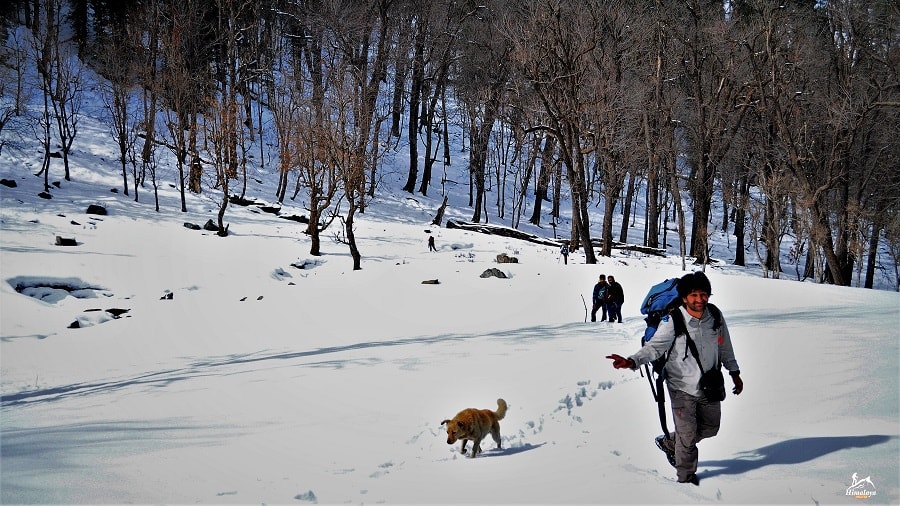 himalayashelter Kedarkantha Trek