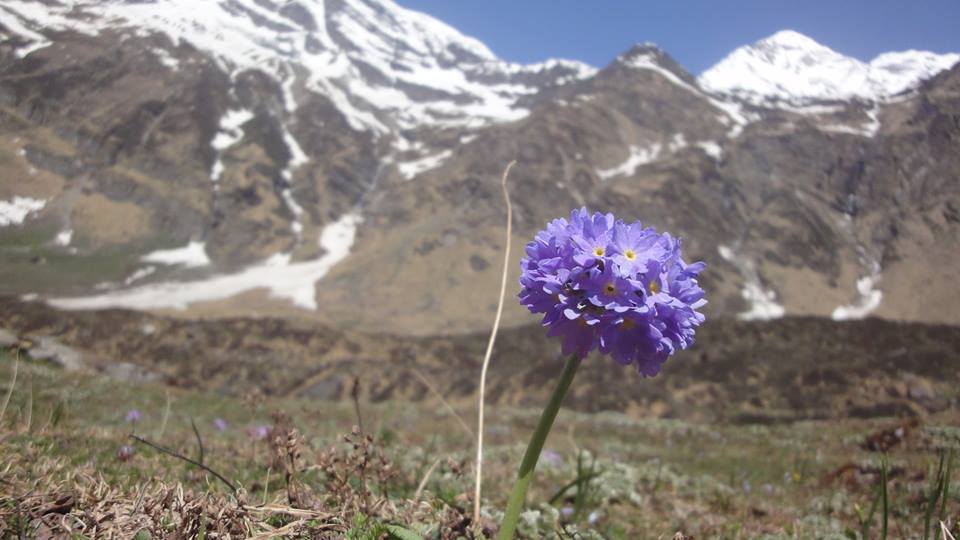 pindari glacier trek 1