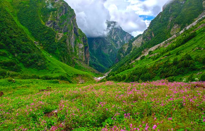 Valley-of-Flowers-National-Park