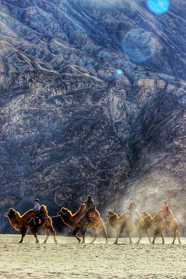 Hunder sand dunes, Nubra valley..