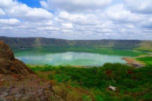 Nature’s Spark For The Winter Chills