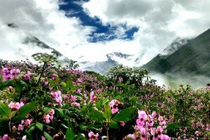 Complete travel guide on trekking, paragliding and river rafting