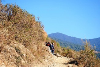 Nag Tibba Trek