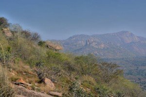 Discover the Thrill of Trekking in Bangalore
