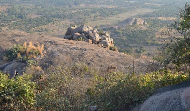 trekking trails of Narayangiri