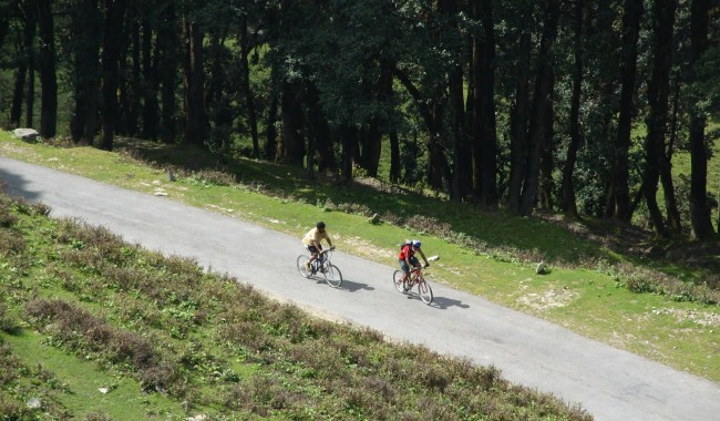 Cycling In Munnar