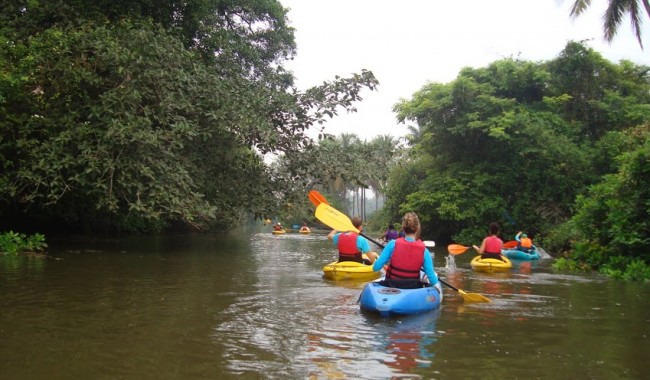 Goa kayaking