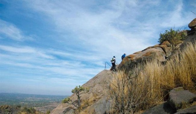 Night Treks at Narayangiri