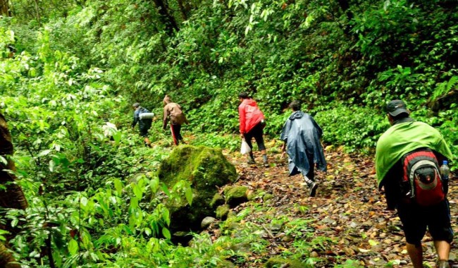 Kodachadri Trekking