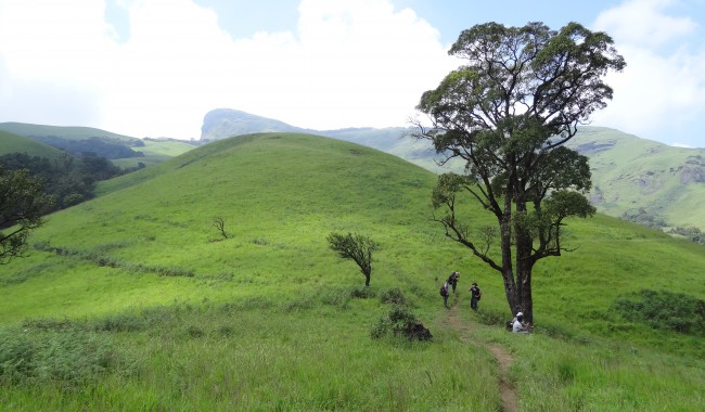 Kudremukh Trek in Chikmagalur