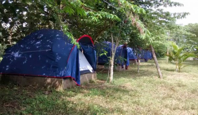 Night Camping at Nagarhole