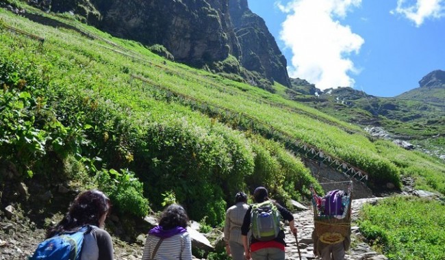 Valley Of Flowers 