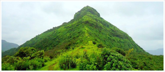  Monsoon Trek to Tikona Fort img