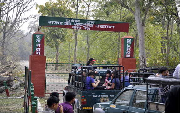 Rajaji National Park Camp img