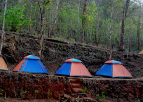 Dandeli Jungle Camp img