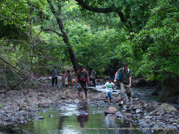 Sanjay Gandhi National Park - Monsoon Jungle Trek