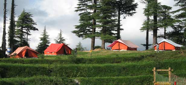 Nature Camping In Kanatal Thangdhar img