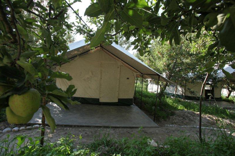 Apple Orchard Camping Sangla Valley img