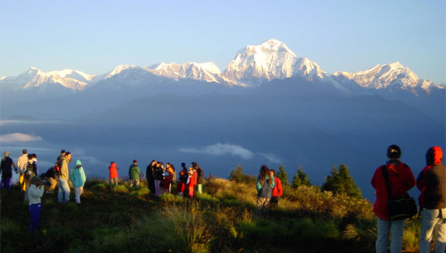 Image result for Ghorepani Poon Hill trekking