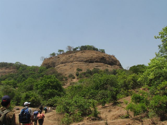 Bhorgiri-Bhimashankar Trek img