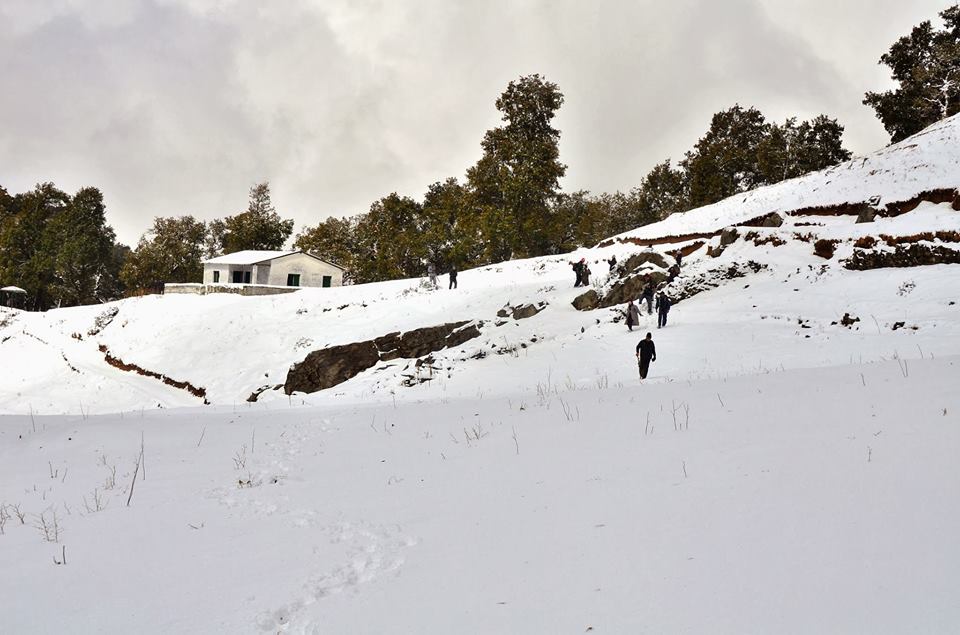 Nag Tibba Summer Trek img