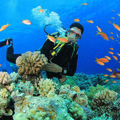 Scuba Diving in Goa img