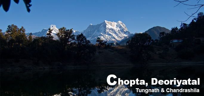 Chopta Tungnath Chandrashila Trek img