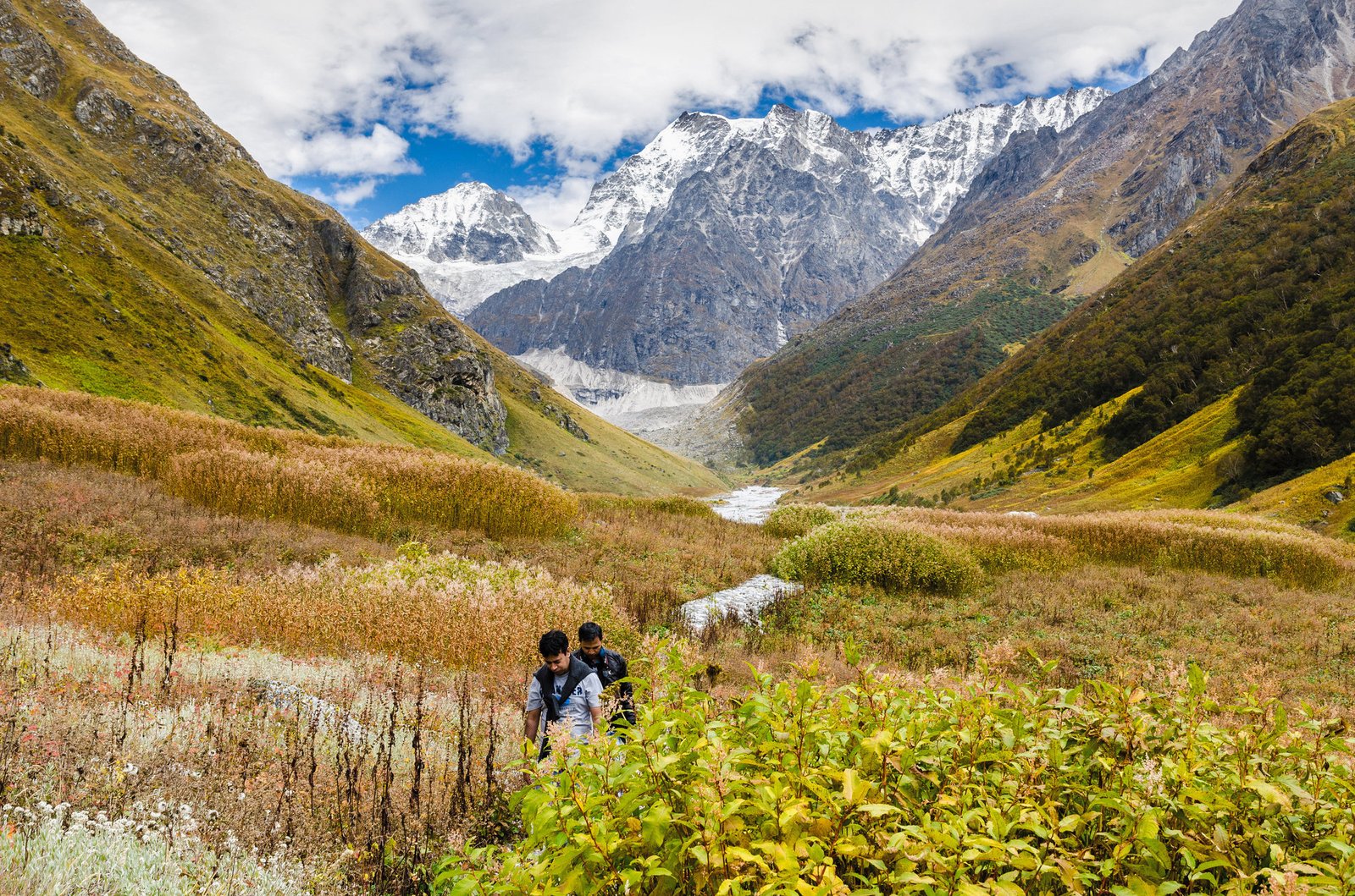 Valley of Flowers