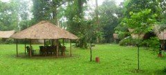 Eco Camp Nameri Tezpur