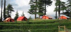 Nature Camping In Kanatal Thangdhar