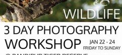 3D/2N WILDLIFE PHOTOGRAPHY WORKSHOP