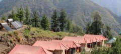 Camping In Chail Shimla