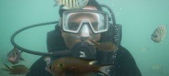 Scuba Diving in Goa