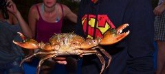 Crab Catching with Dinner in Goa