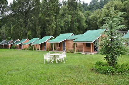 Camping Rafting in Manali img